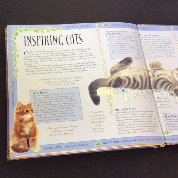 Catopia A Cat Compendium Big book of cat treasures & fun by Anne Mortimer 2007 - Picture 14 of 16